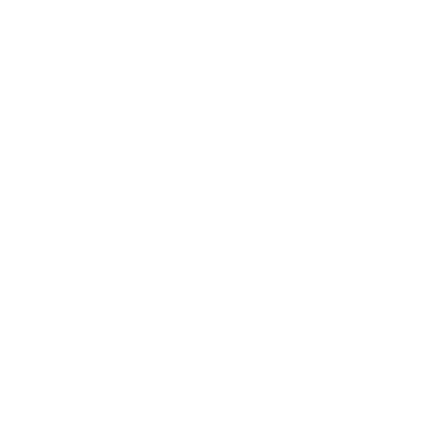 political-campaign